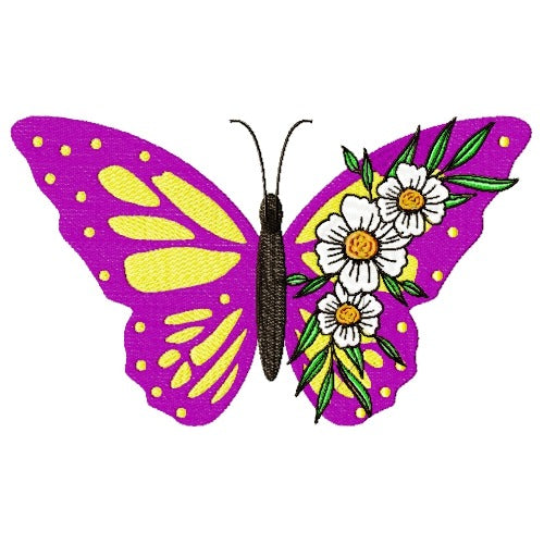 Eye-Catching Butterflies