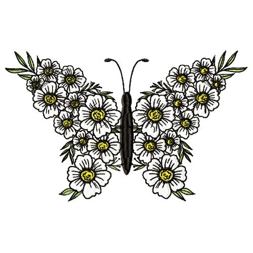 Eye-Catching Butterflies