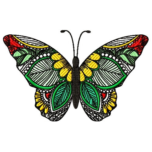 Eye-Catching Butterflies