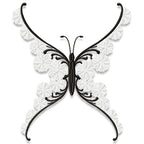 Eye-Catching Butterflies