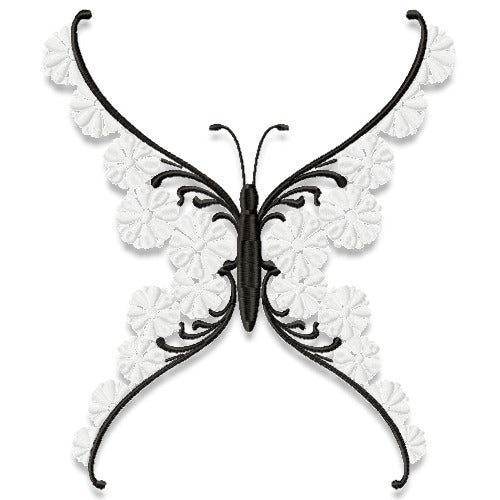Eye-Catching Butterflies
