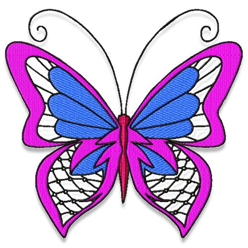Eye-Catching Butterflies