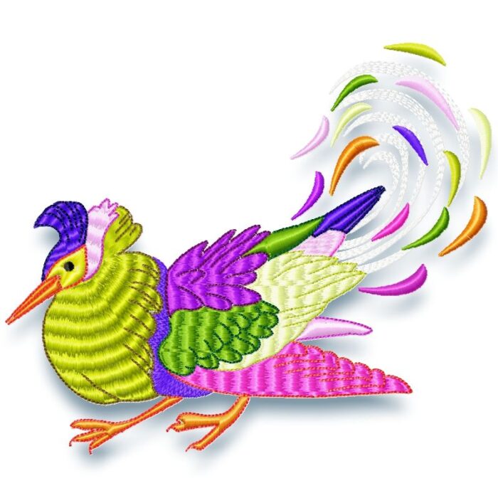 Fancy Birds