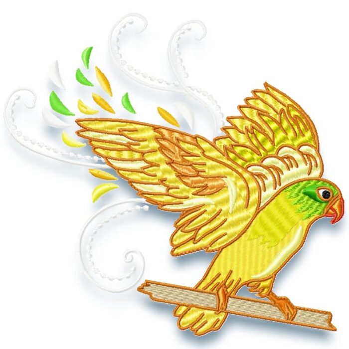 Fancy Birds