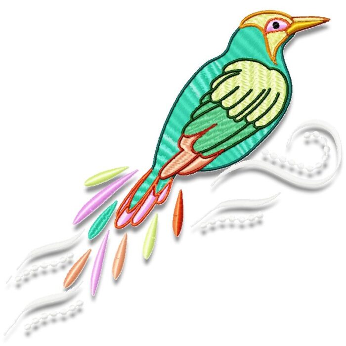Fancy Birds
