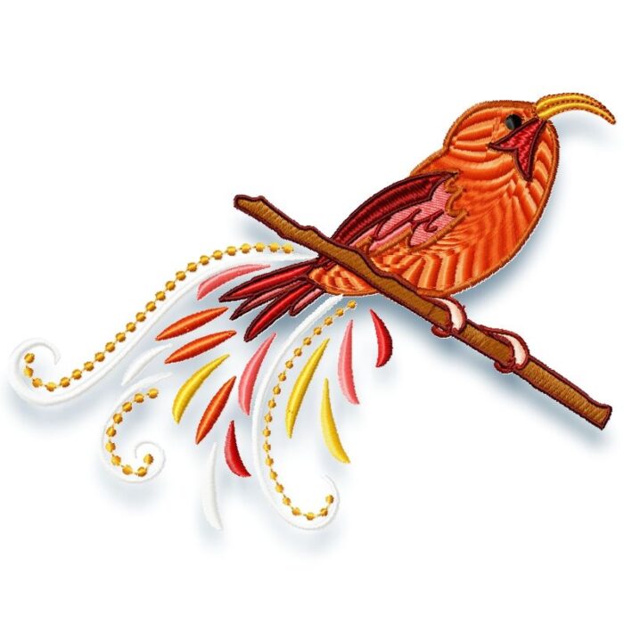 Fancy Birds