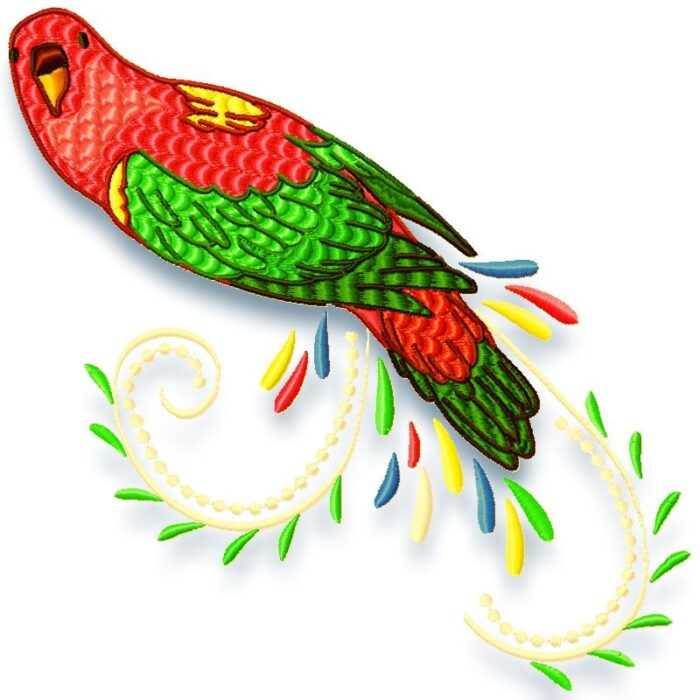 Fancy Birds