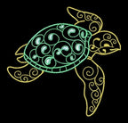 fancy turtle