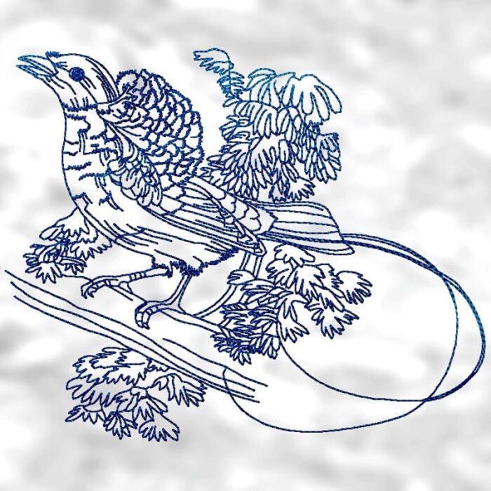 Fancy Birds Line Work