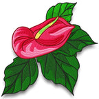Fantastic Flowers