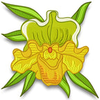 Fantastic Flowers