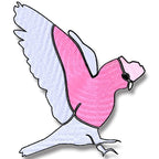 Galah
