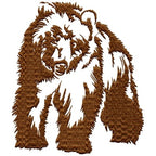 grizzlt bear 2