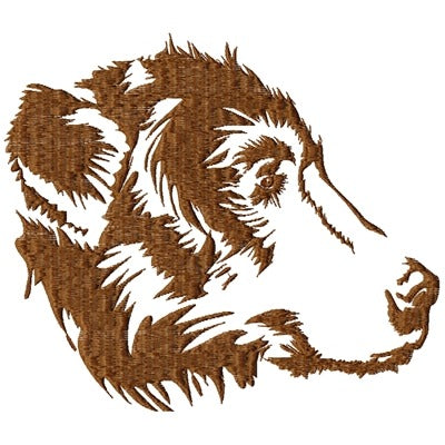 Grizzly Bear
