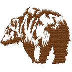 Grizzly Bear