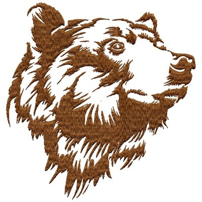 Grizzly Bear