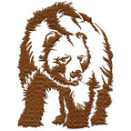 Grizzly Bear