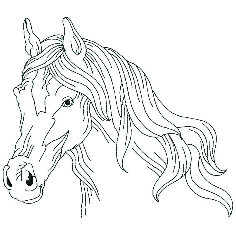 Horses Linework machine embroidery