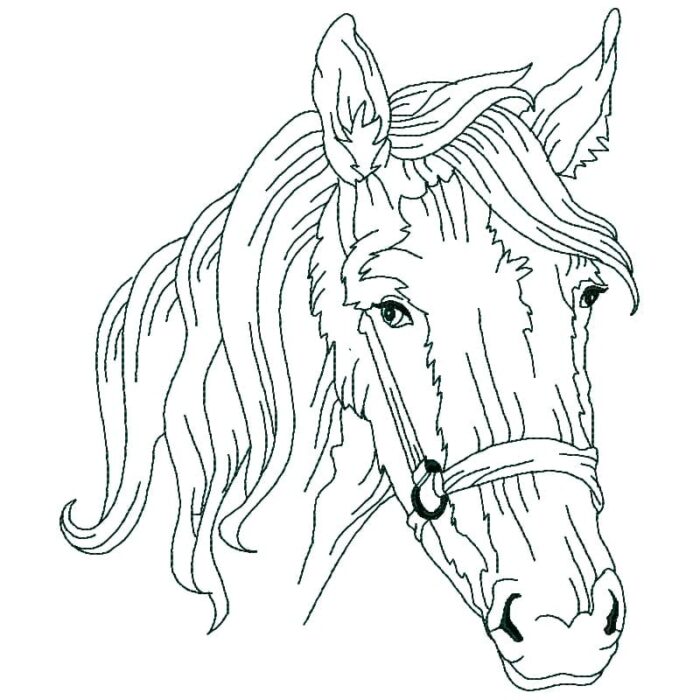 Horses Linework