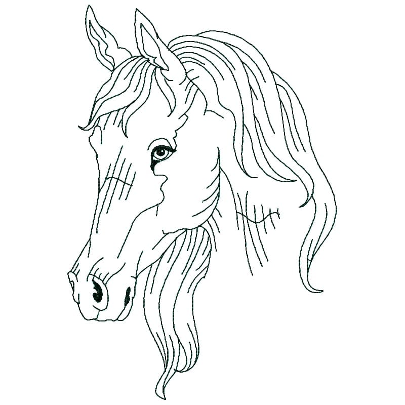 Horses Linework