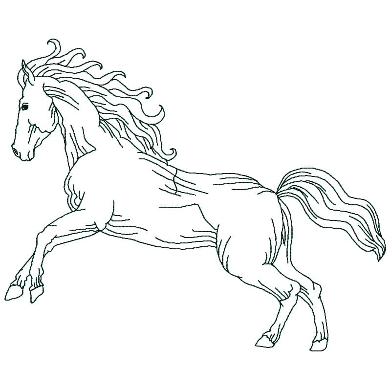 Horses Linework