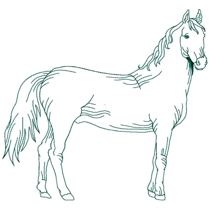 Horses Linework