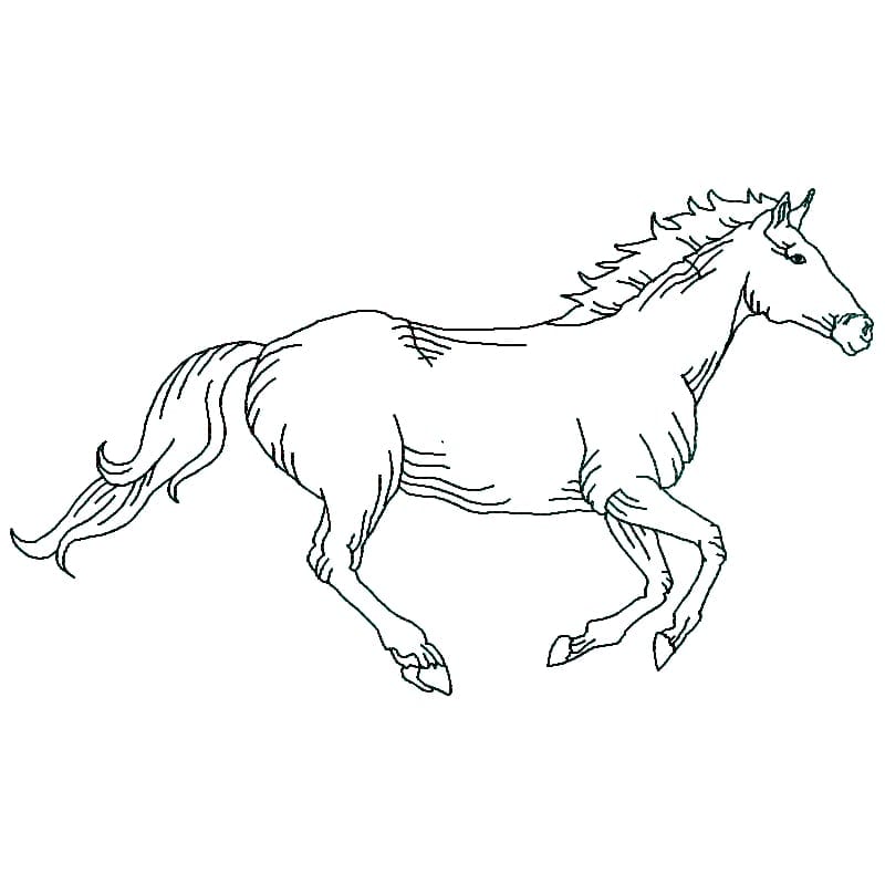 Horses Linework