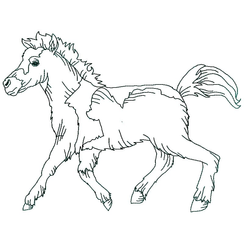 Horses Linework