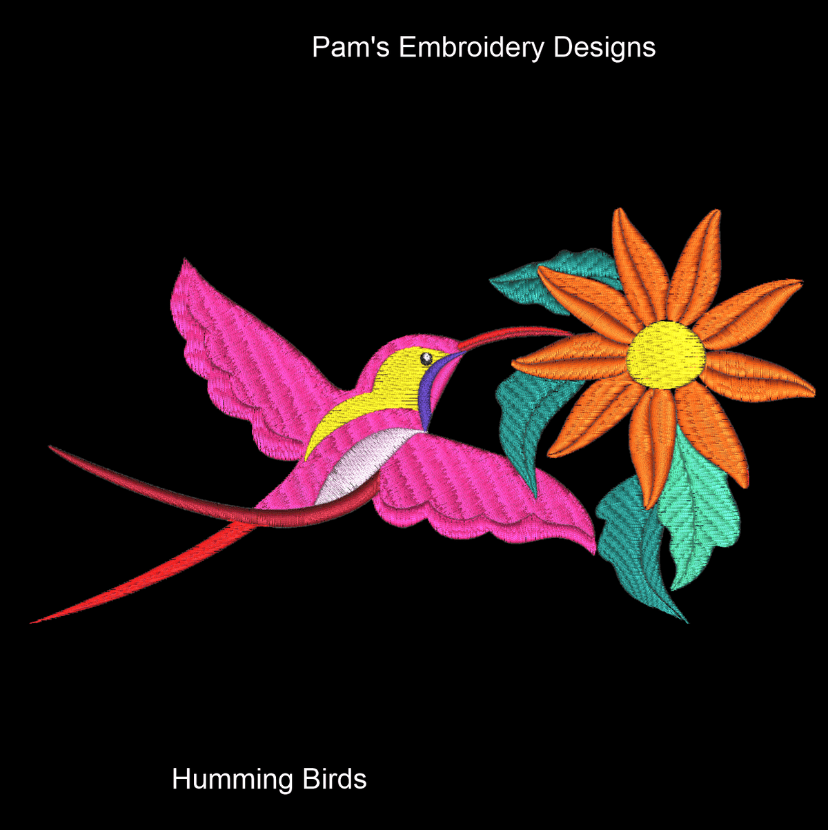 Humming Birds