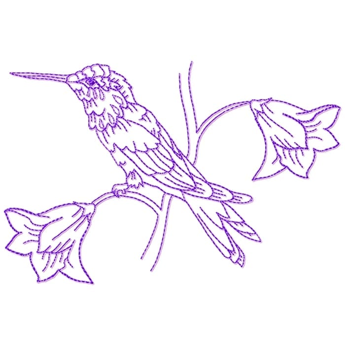 Hummingbirds Linework