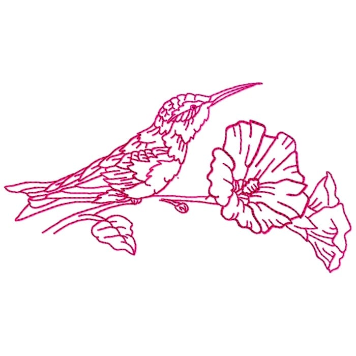 Hummingbirds Linework