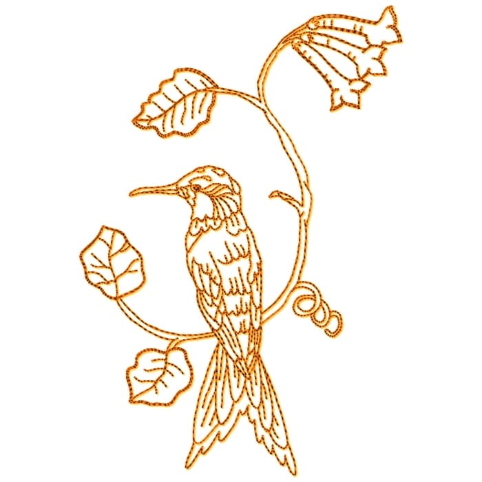 Hummingbirds Linework