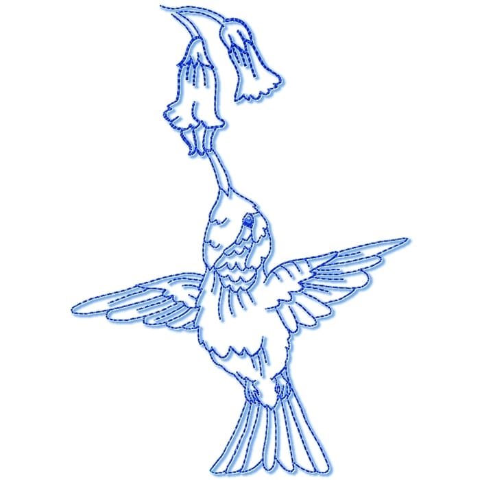 Hummingbirds Linework