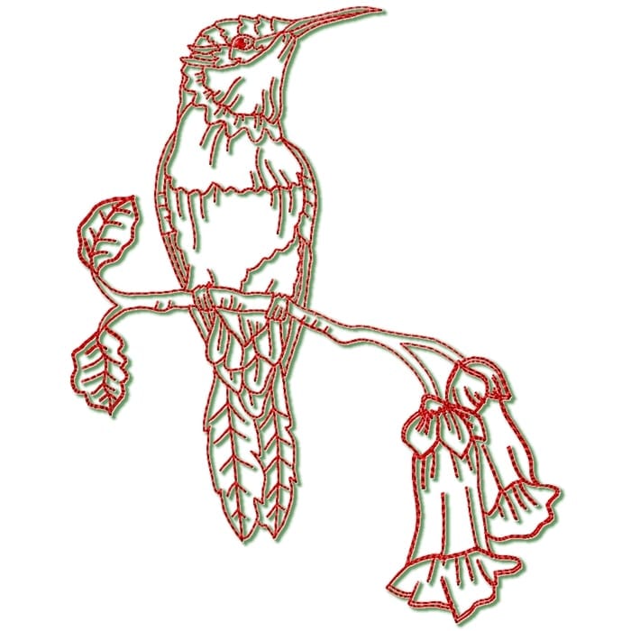 Hummingbirds Linework