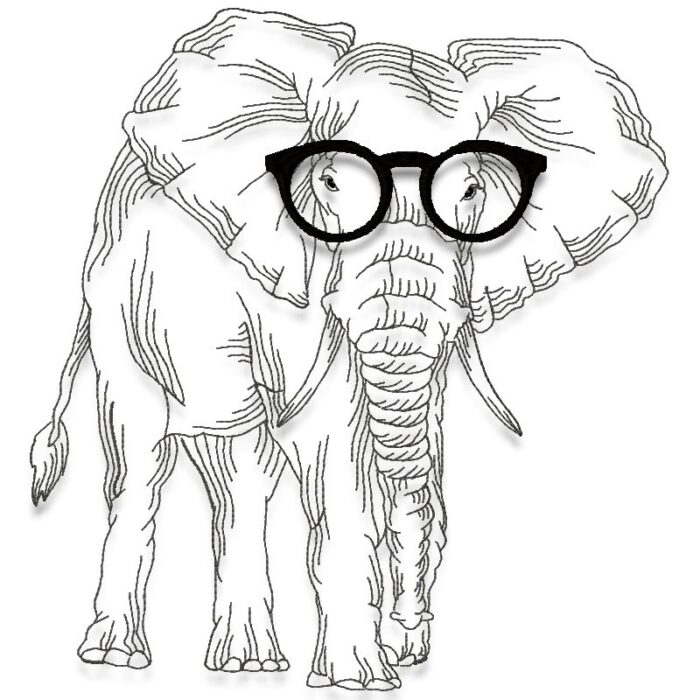I Can See You Clearly Now