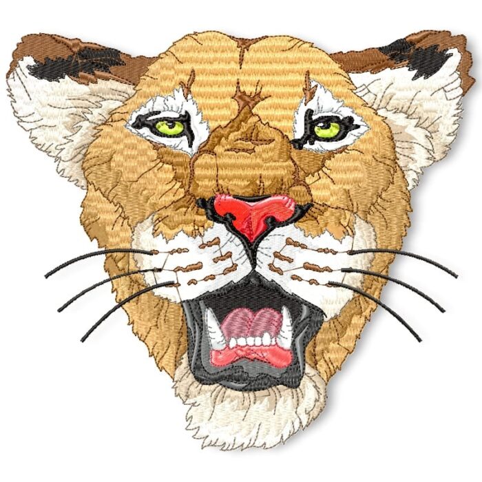 I Love All Cats