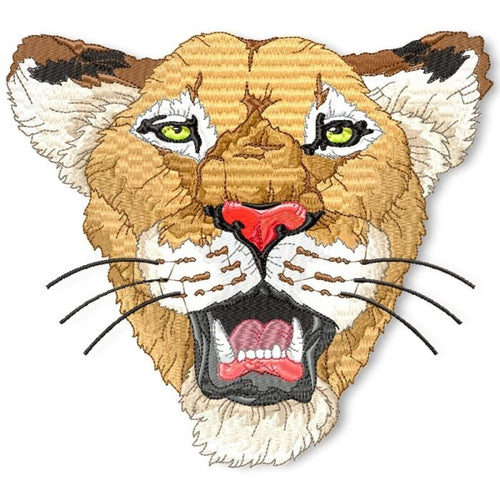 I Love All Cats