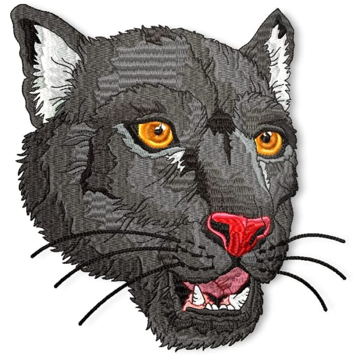 I Love All Cats