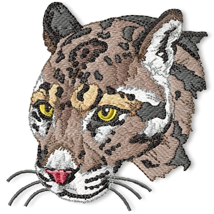 big cats