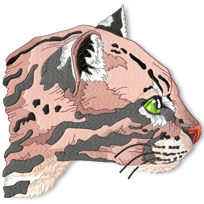 I Love All Cats