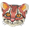 I Love All Cats