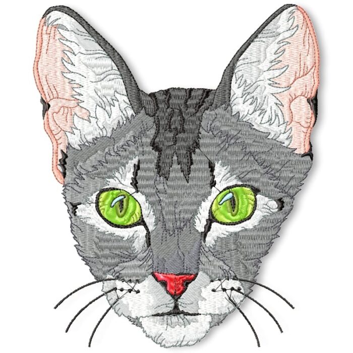 I Love All Cats