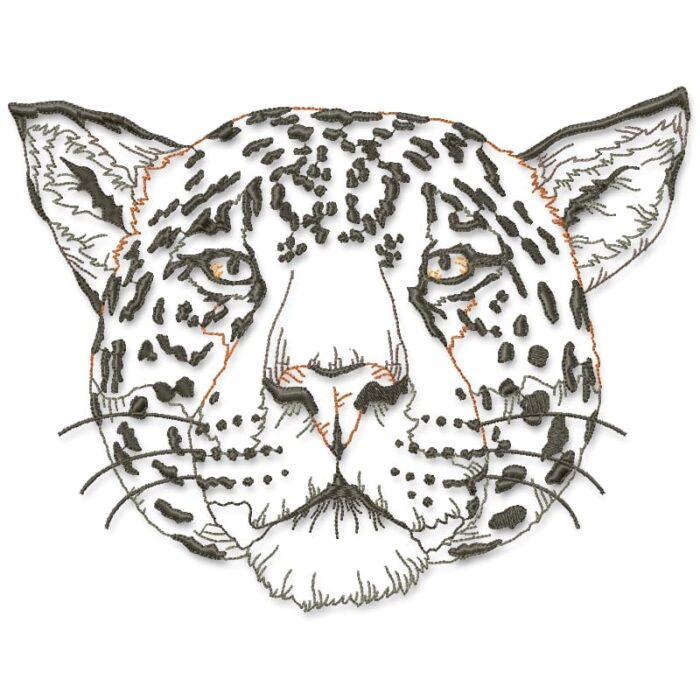 I Love All Cats