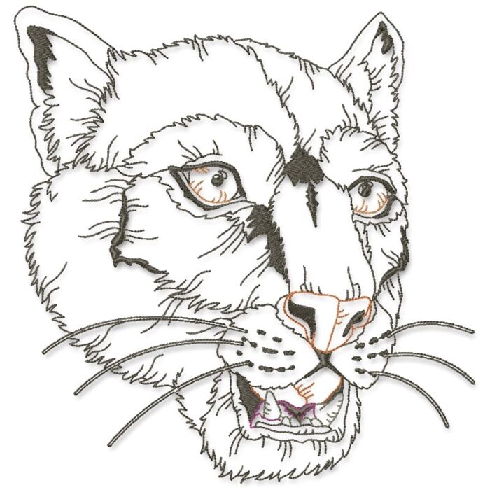 I Love All Cats
