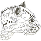 I Love All Cats