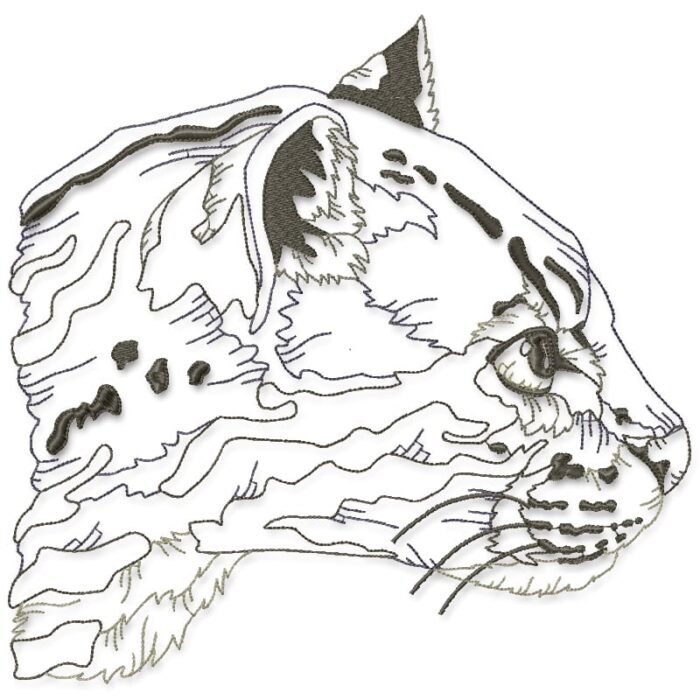I Love All Cats