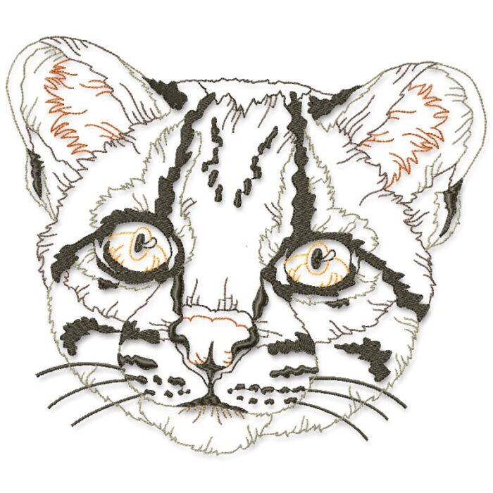I Love All Cats