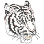 I Love All Cats