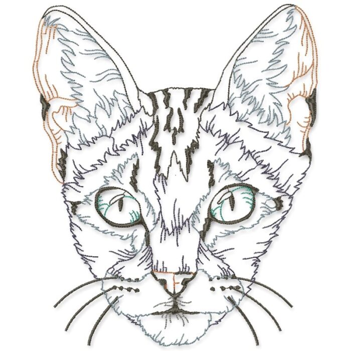 I Love All Cats