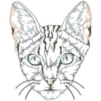 I Love All Cats